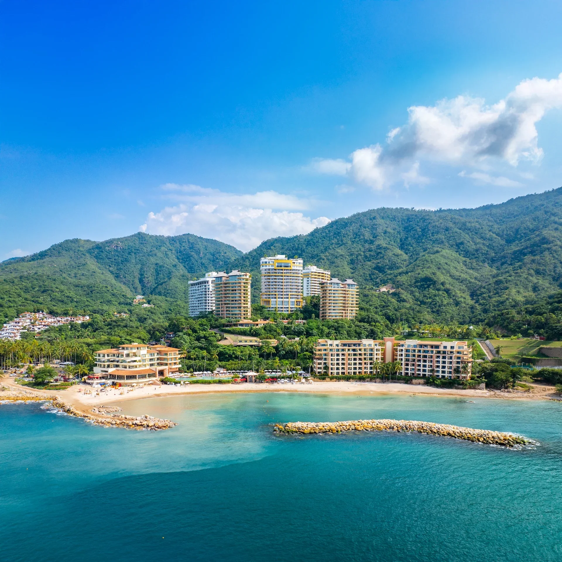 filters_format(webp)_quality(85) (1).webp