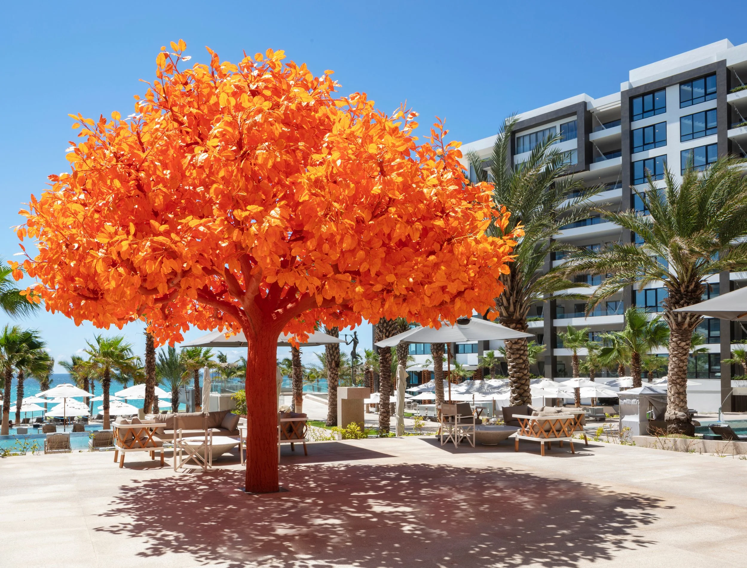 GBLC-facilities-orange-tree-high_01.jpg