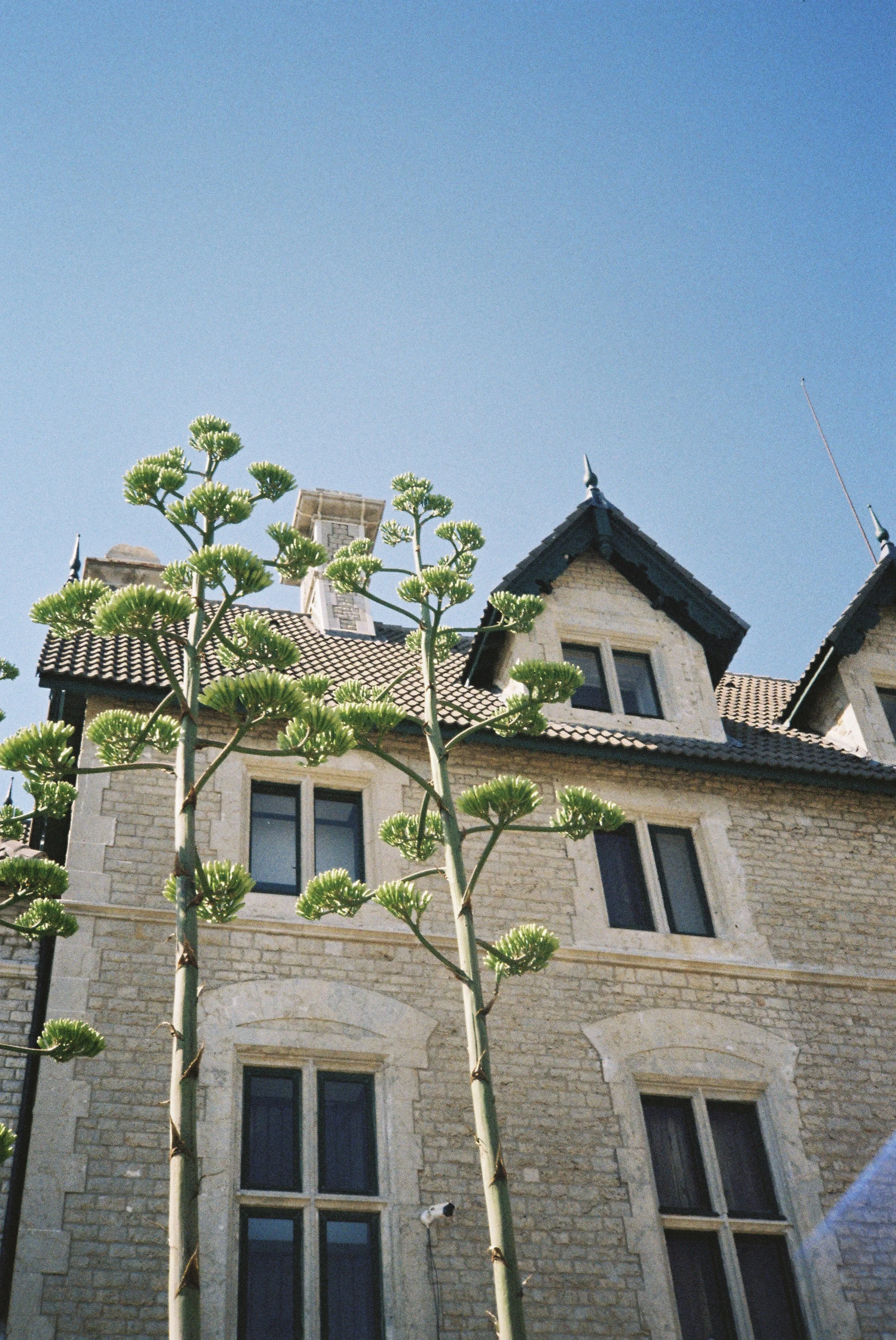 IMG_5418.JPG
