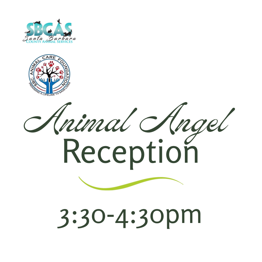 SBCAS Animal Angel Reception