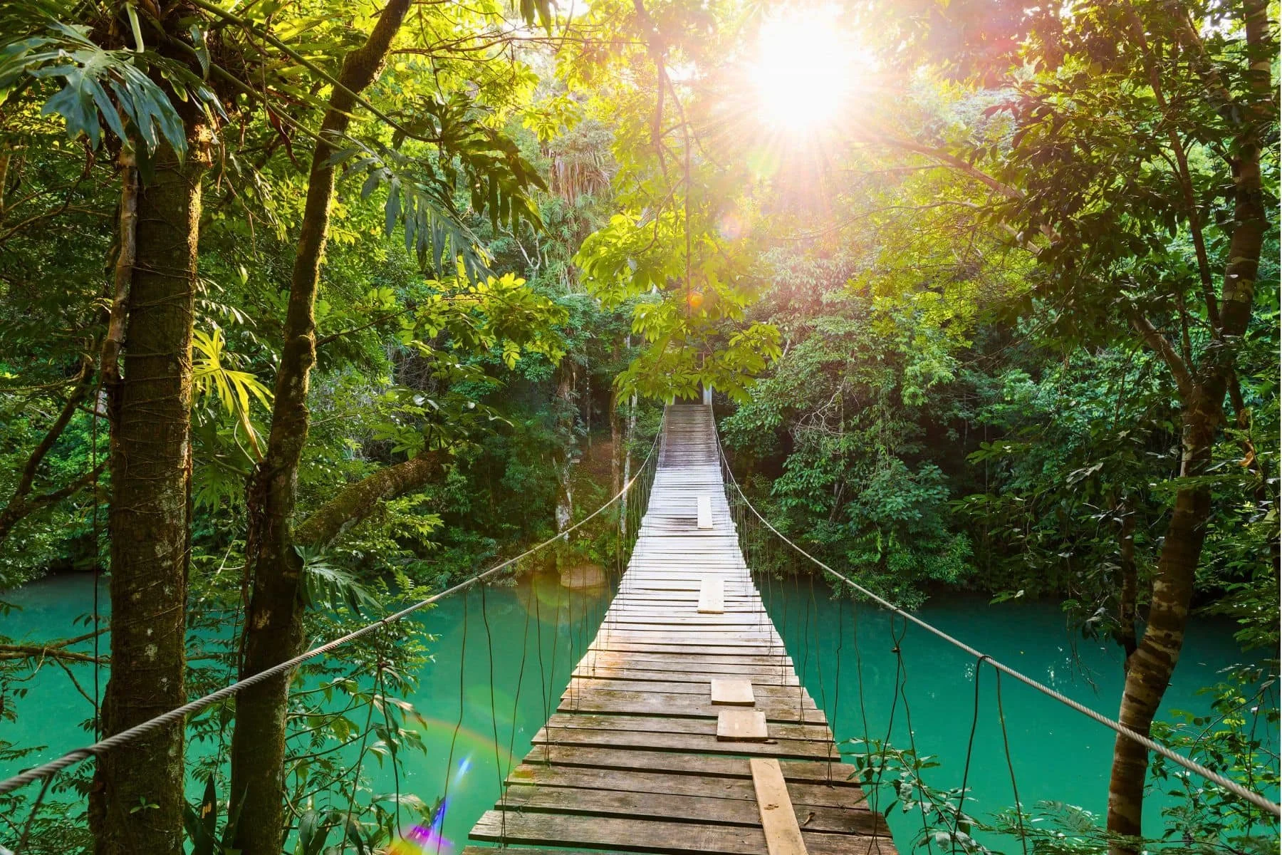 Sleeping Giant Rainforest Lodge