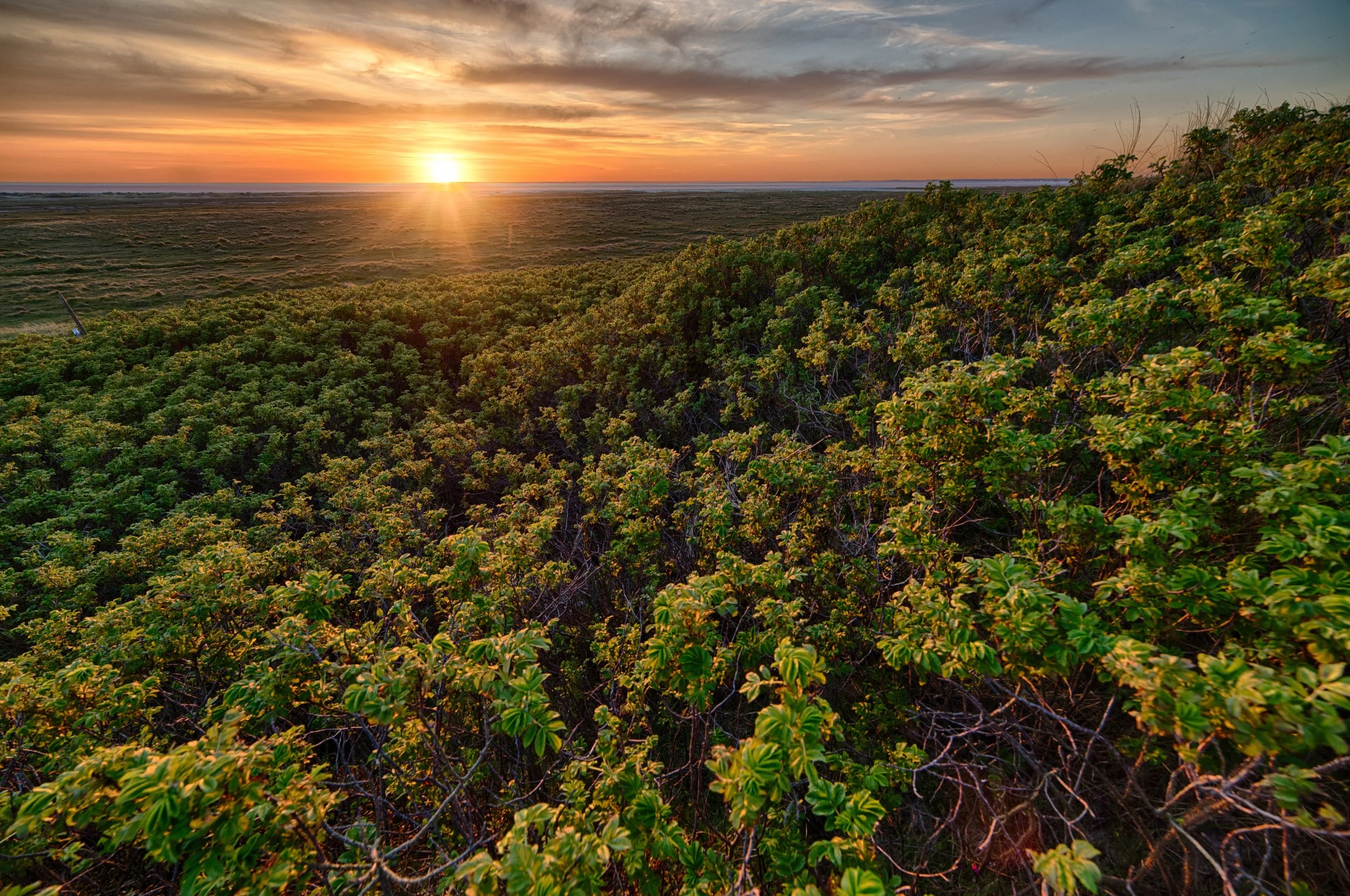 Dramatic Belizean landscape
