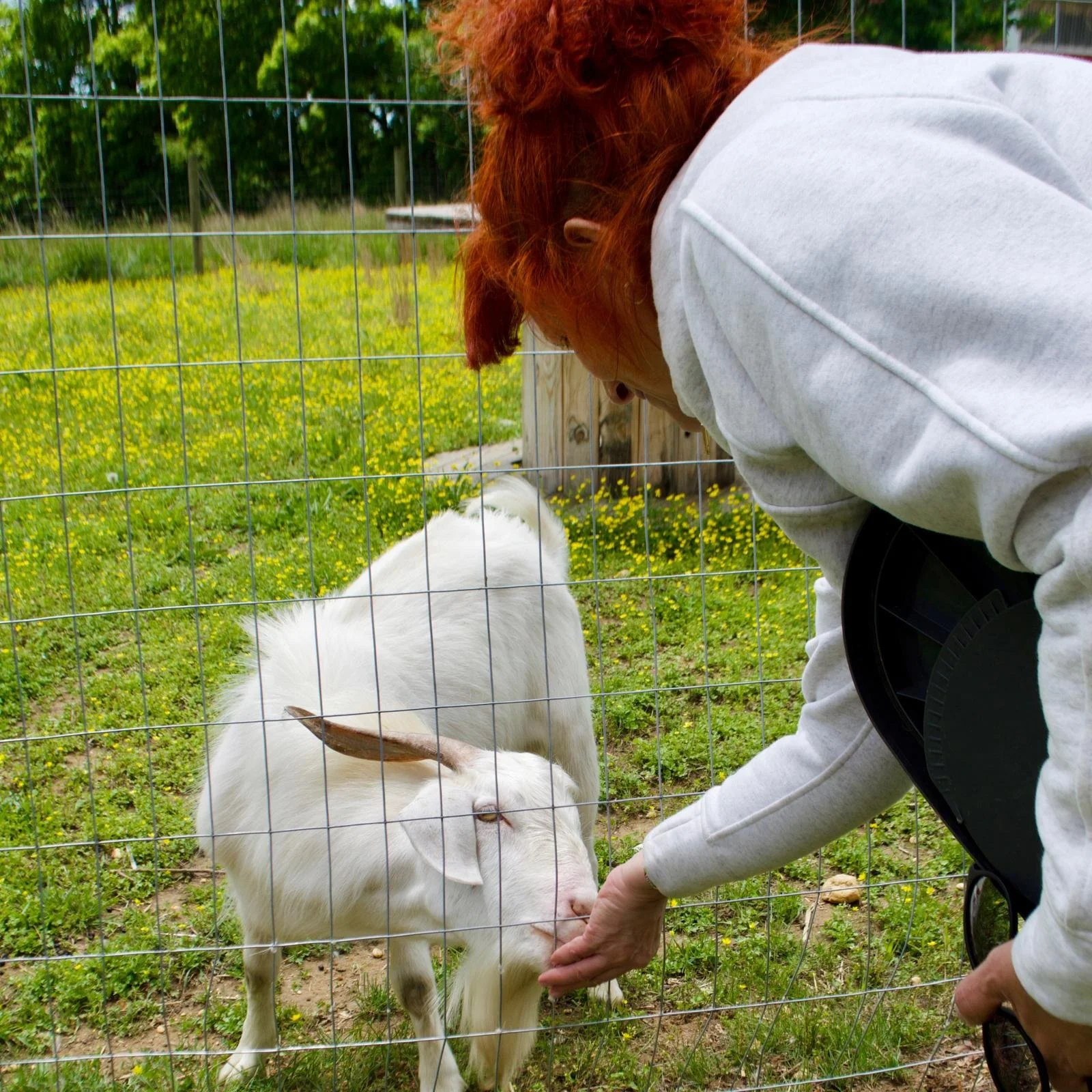 WhatsApp Image 2026-02-19 at 8.29.41 PM.jpeg