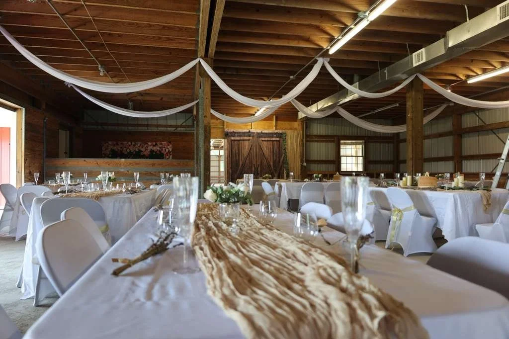 WhatsApp Image 2026-02-19 at 8.21.44 PM (1).jpeg