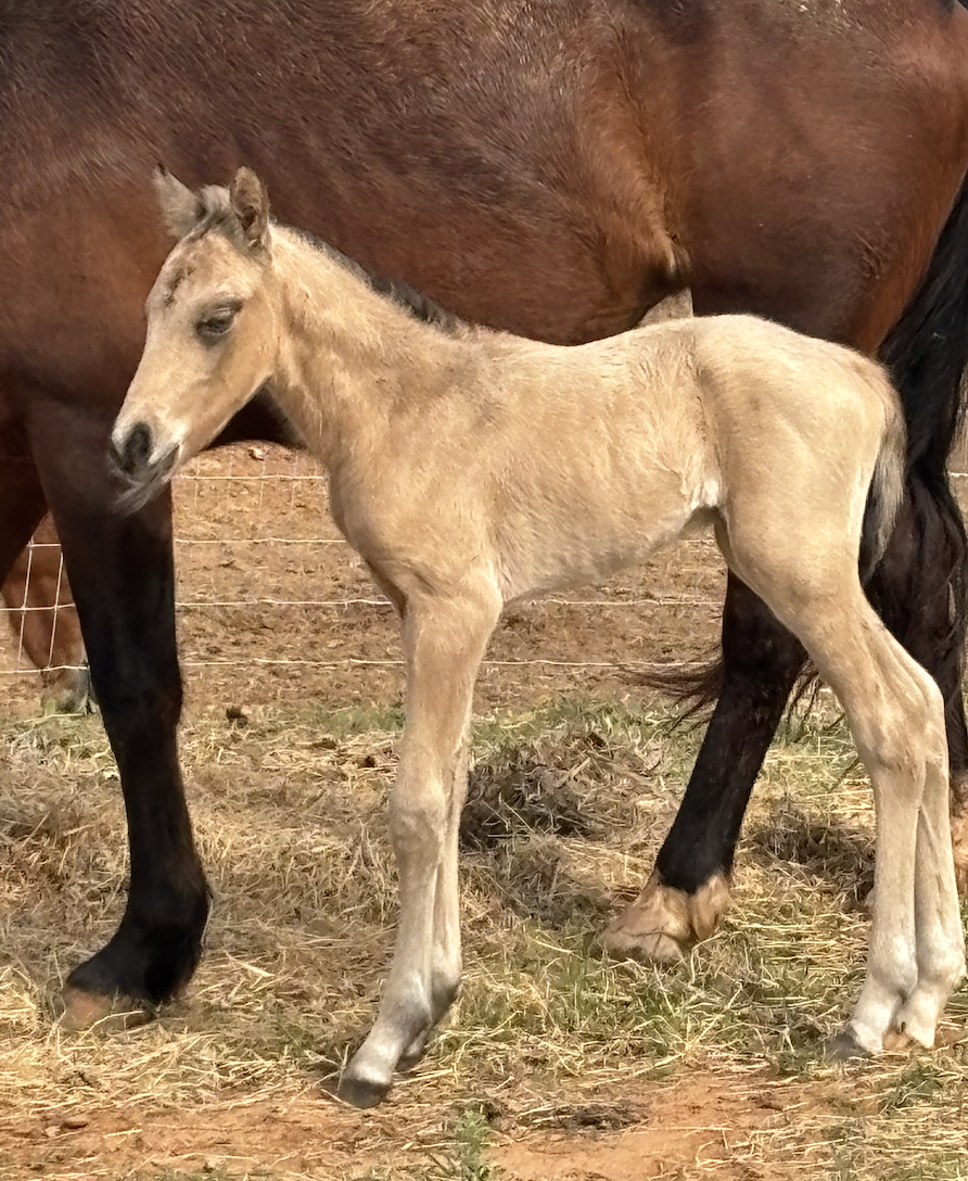 Screenshot 2026-02-18 at 11.59.57 AM.png