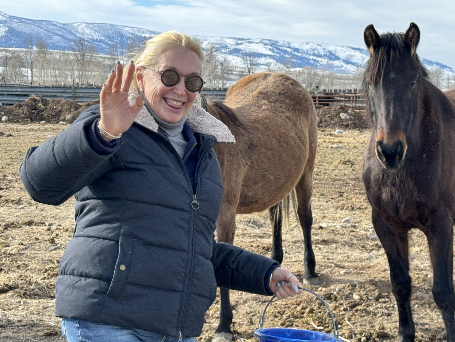 Screenshot 2026-02-18 at 12.00.08 PM.png