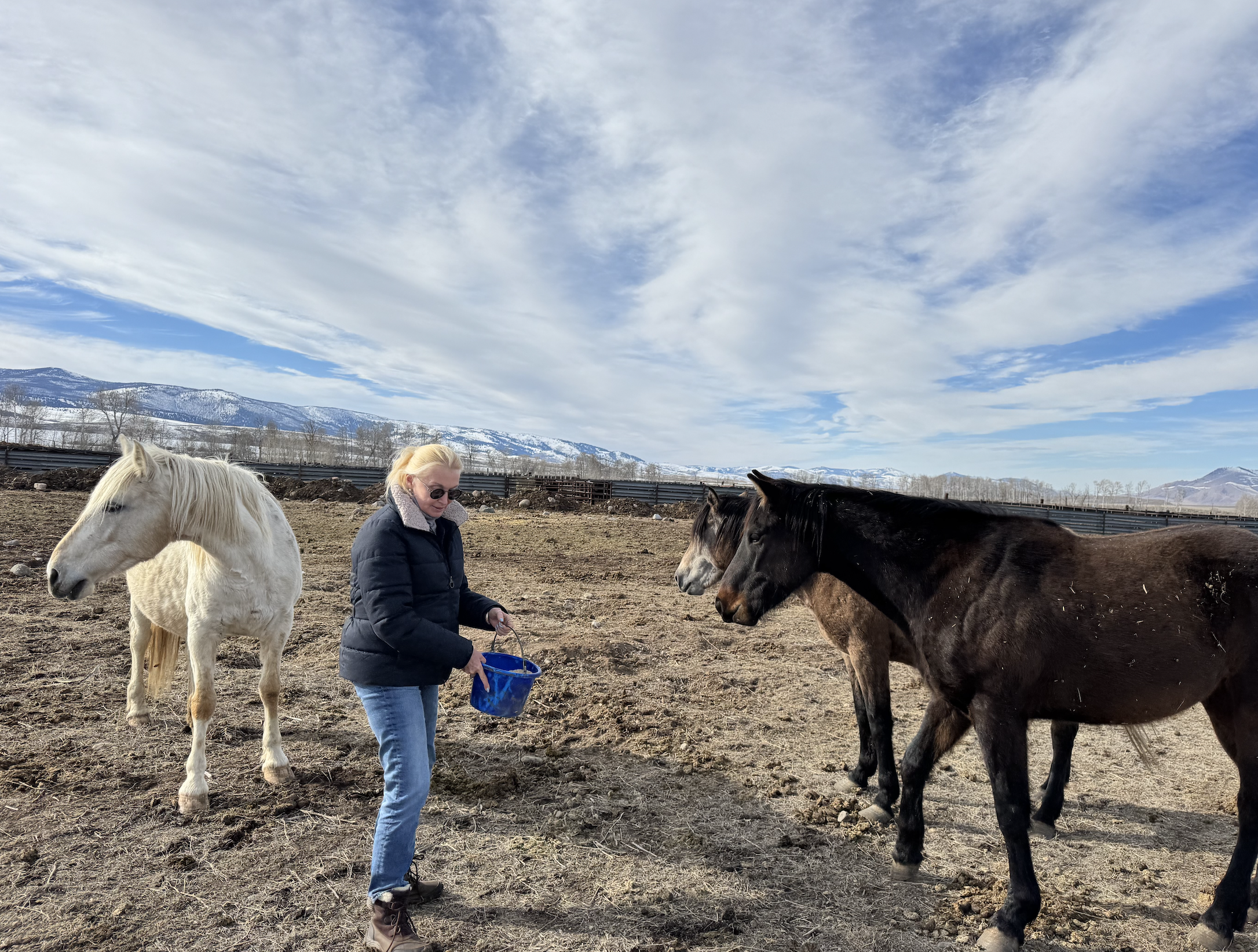 Screenshot 2026-02-18 at 12.00.21 PM.png