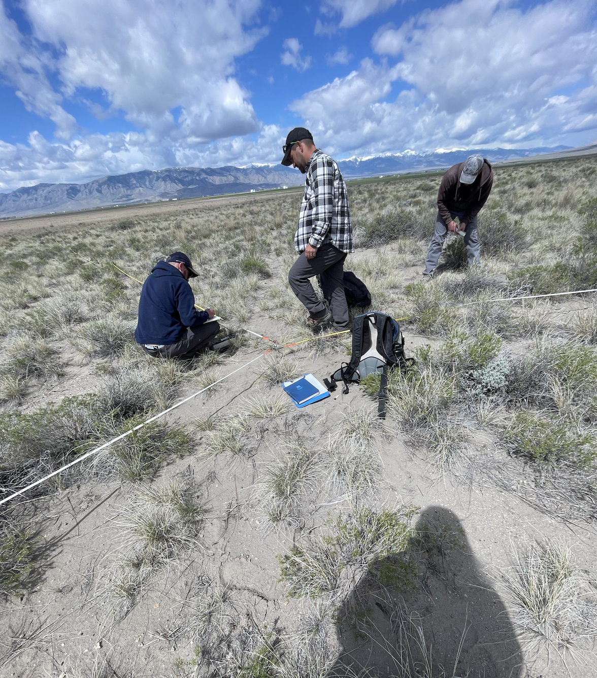 Screenshot 2026-02-18 at 12.00.38 PM.png