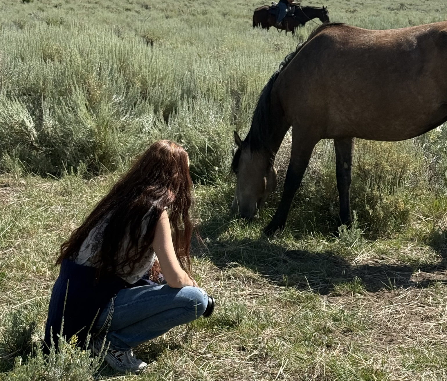 Screenshot 2026-02-18 at 12.03.04 PM.png