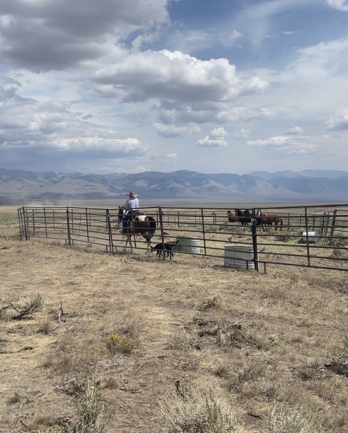 Screenshot 2026-02-18 at 12.03.40 PM.png