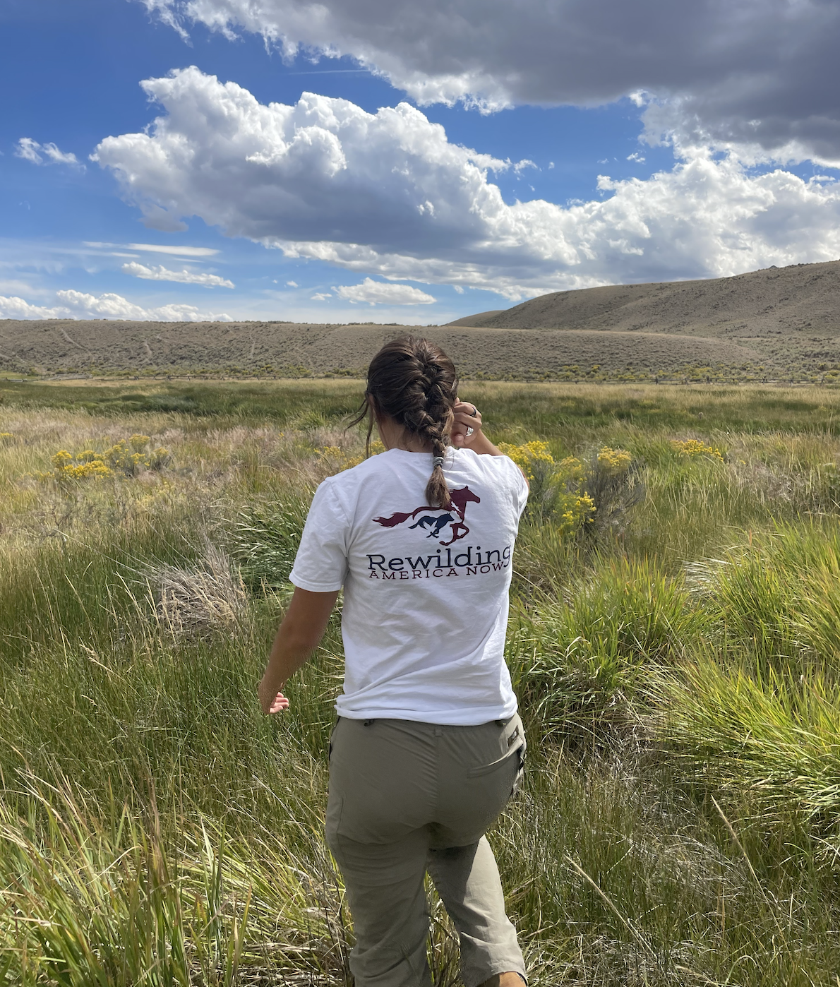 Screenshot 2026-02-18 at 12.03.52 PM.png