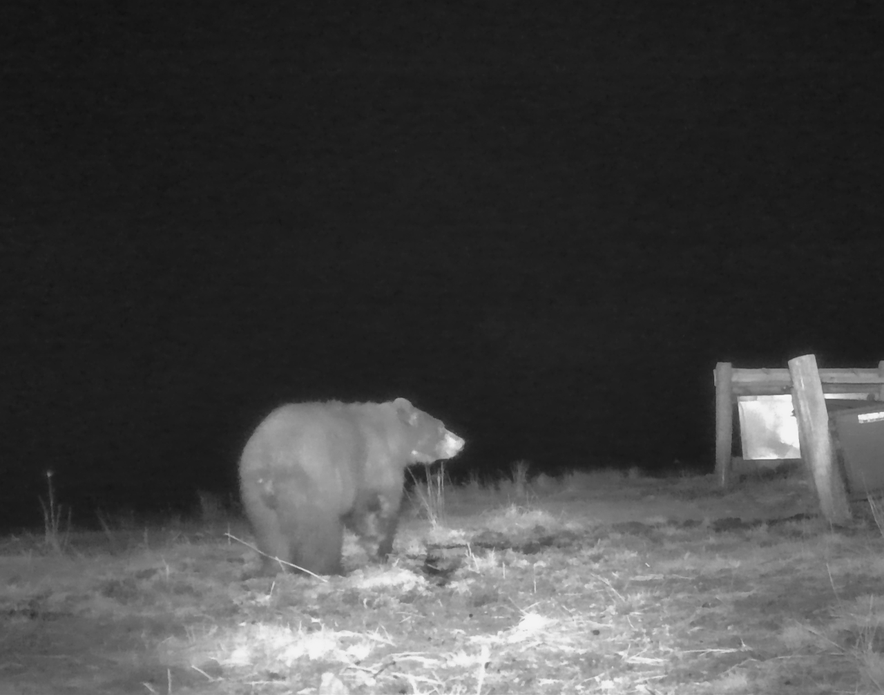 Screenshot 2026-02-18 at 12.06.17 PM.png