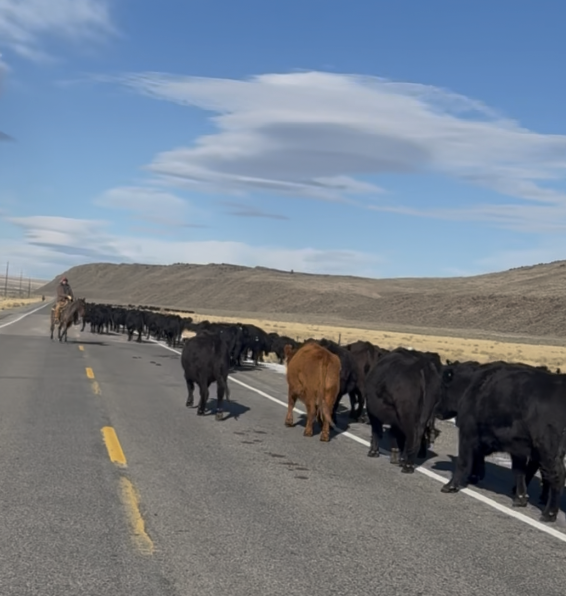 Screenshot 2026-02-18 at 12.06.36 PM.png