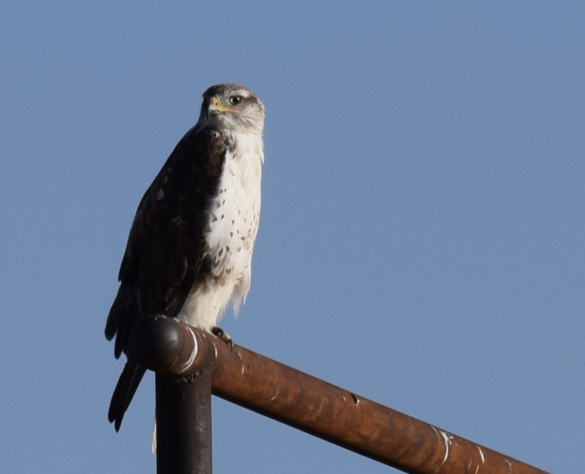 Screenshot 2026-02-24 at 12.06.58 PM.png