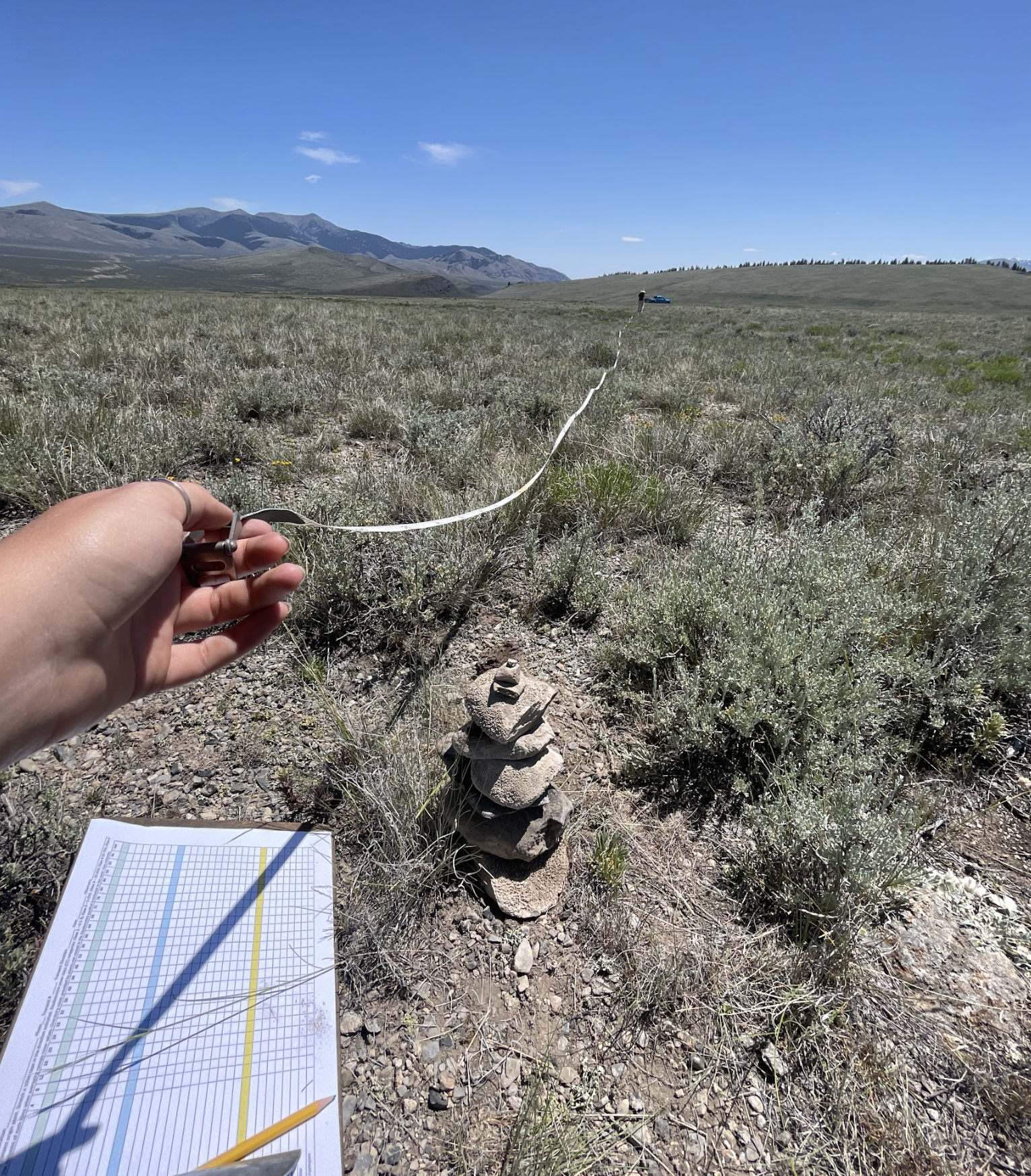 Screenshot 2026-02-24 at 12.07.10 PM.png