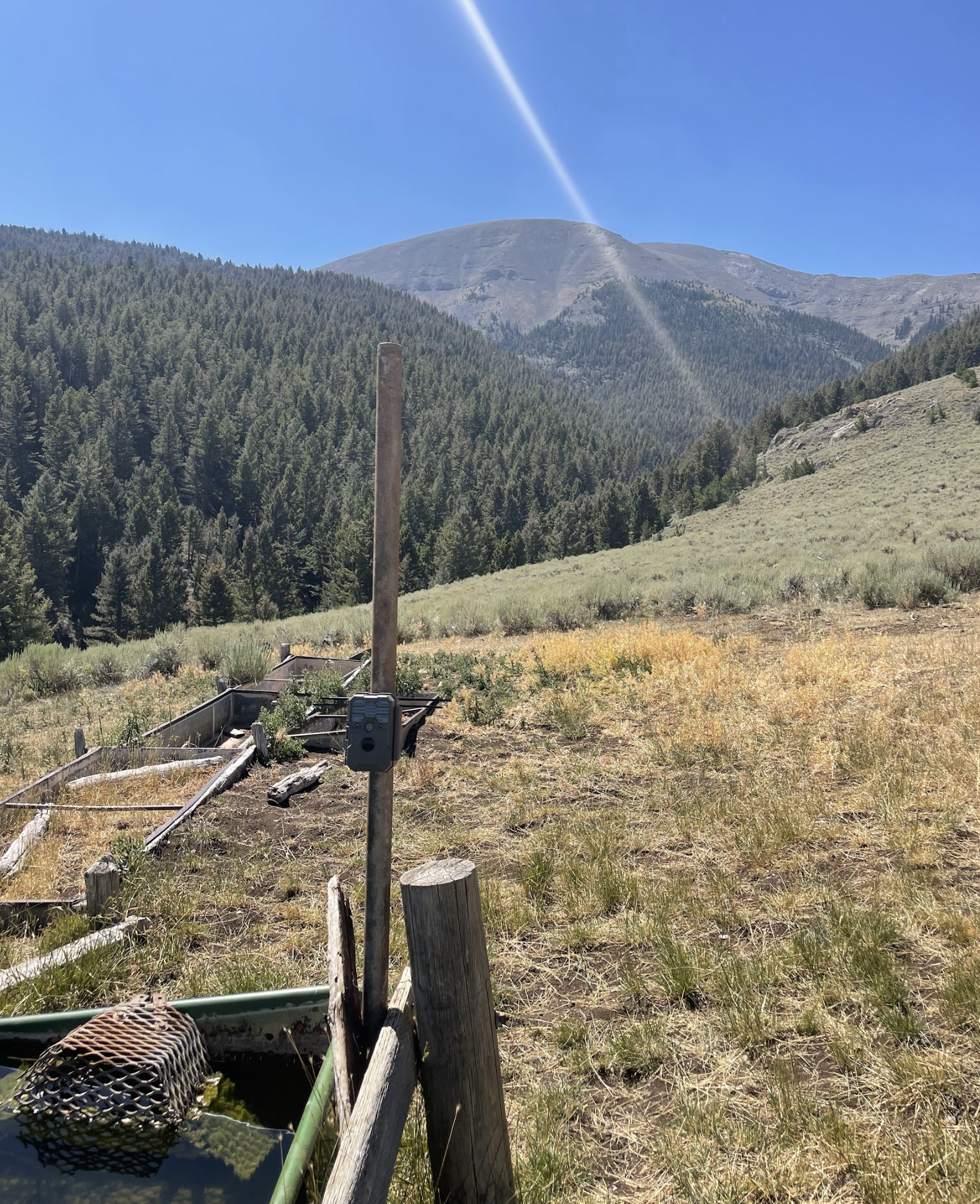 Screenshot 2026-02-24 at 12.07.39 PM.png