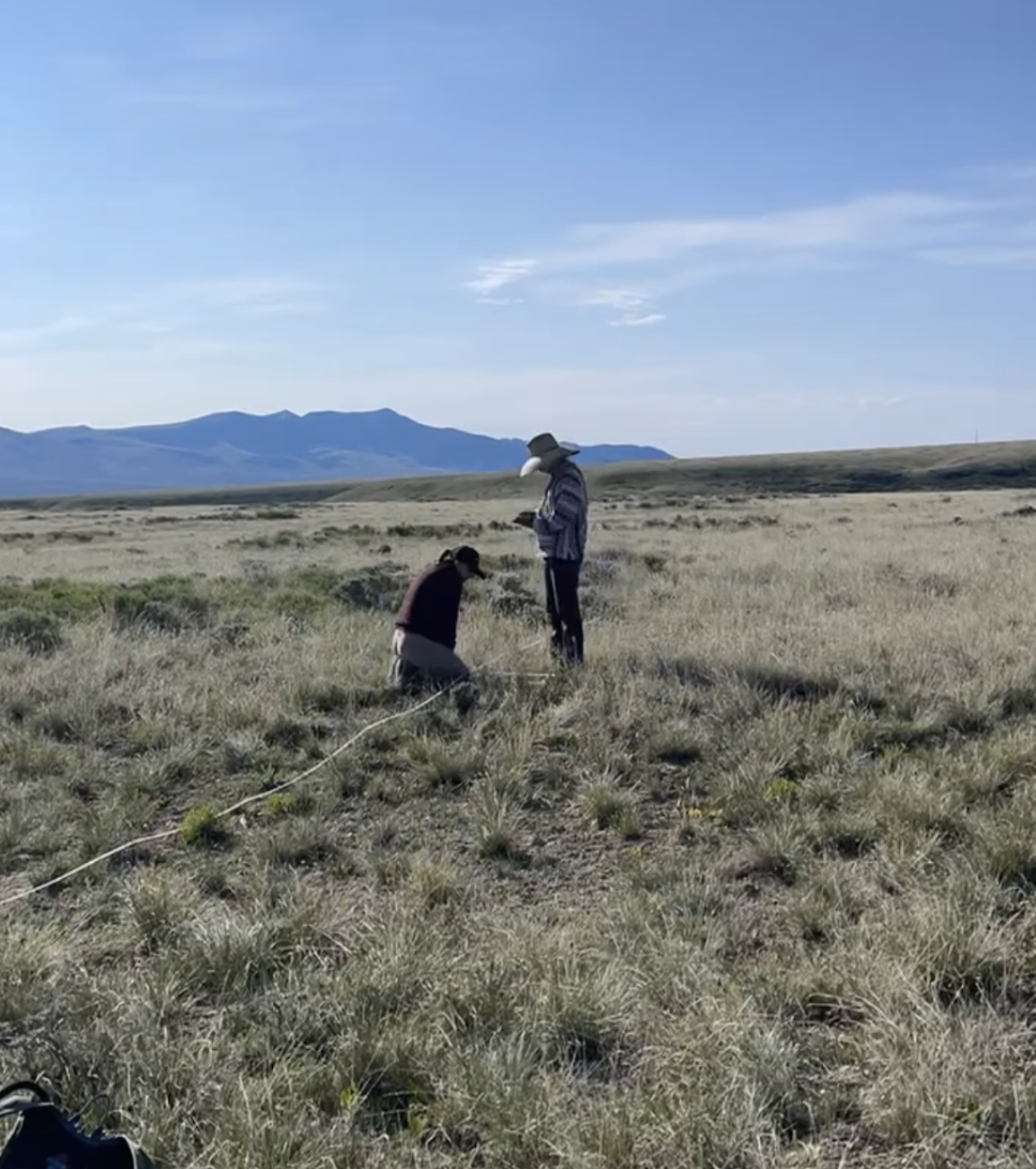 Screenshot 2026-02-24 at 12.07.52 PM.png