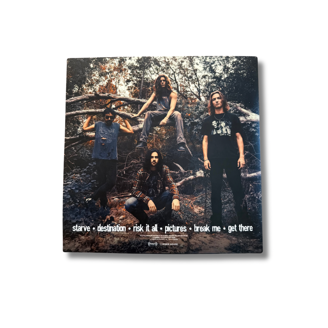 Identity crisis merch- vinyl - 2.png