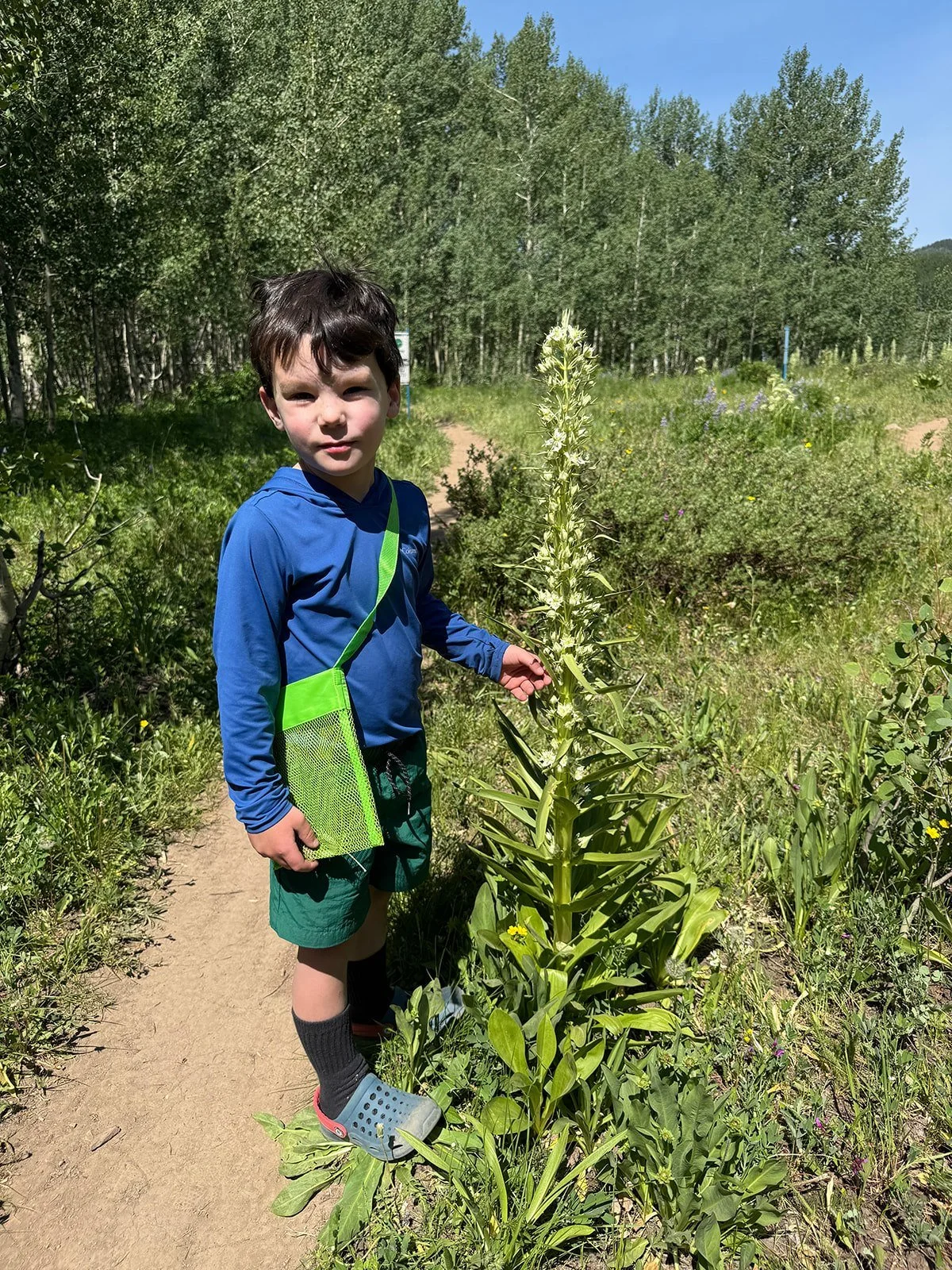 “Sometimes the trees burn down, but they create rich black dirt that helps seeds grow into flowers and trees” -Arlo, Age 5