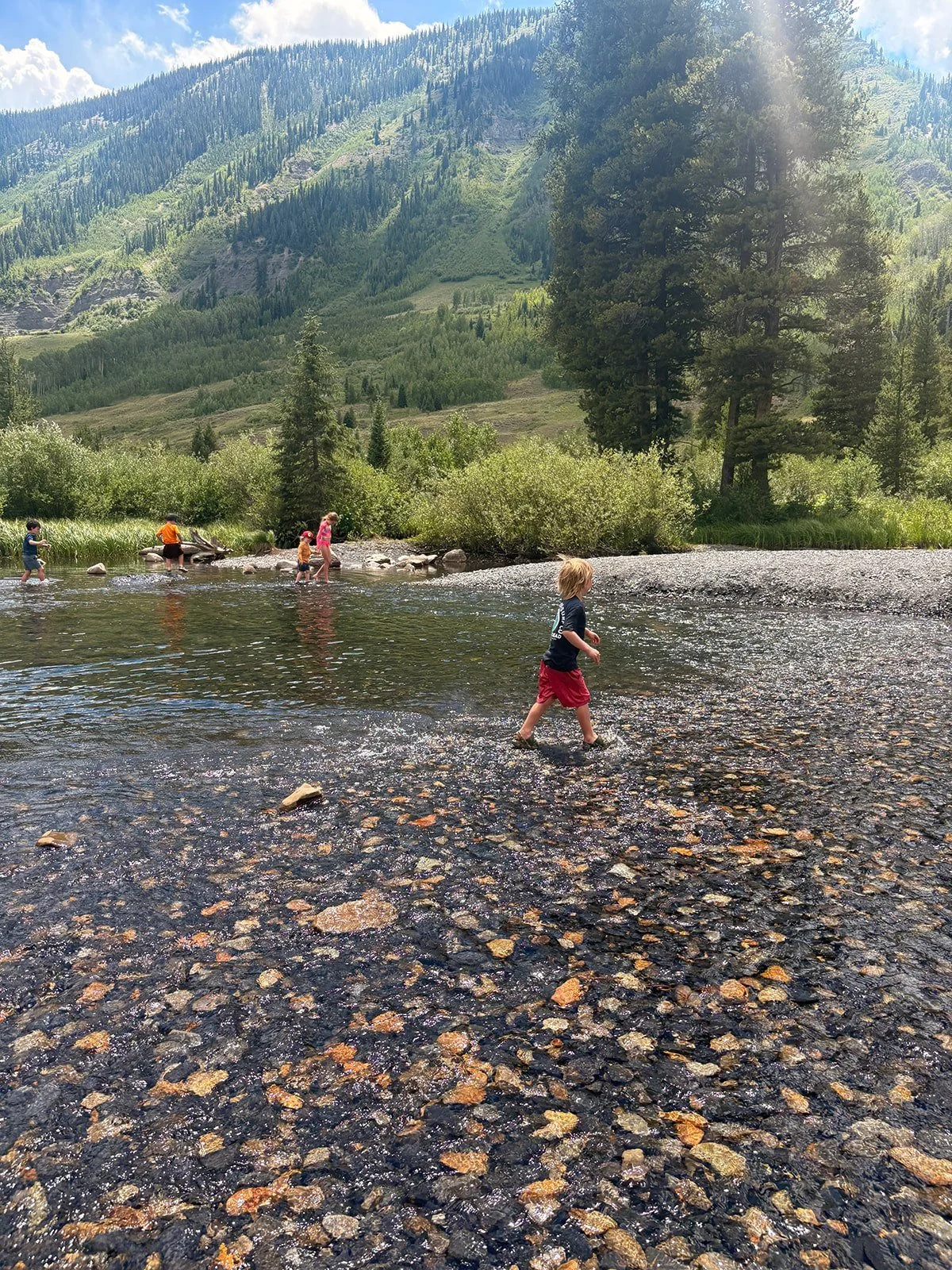 IMG_4280.jpg