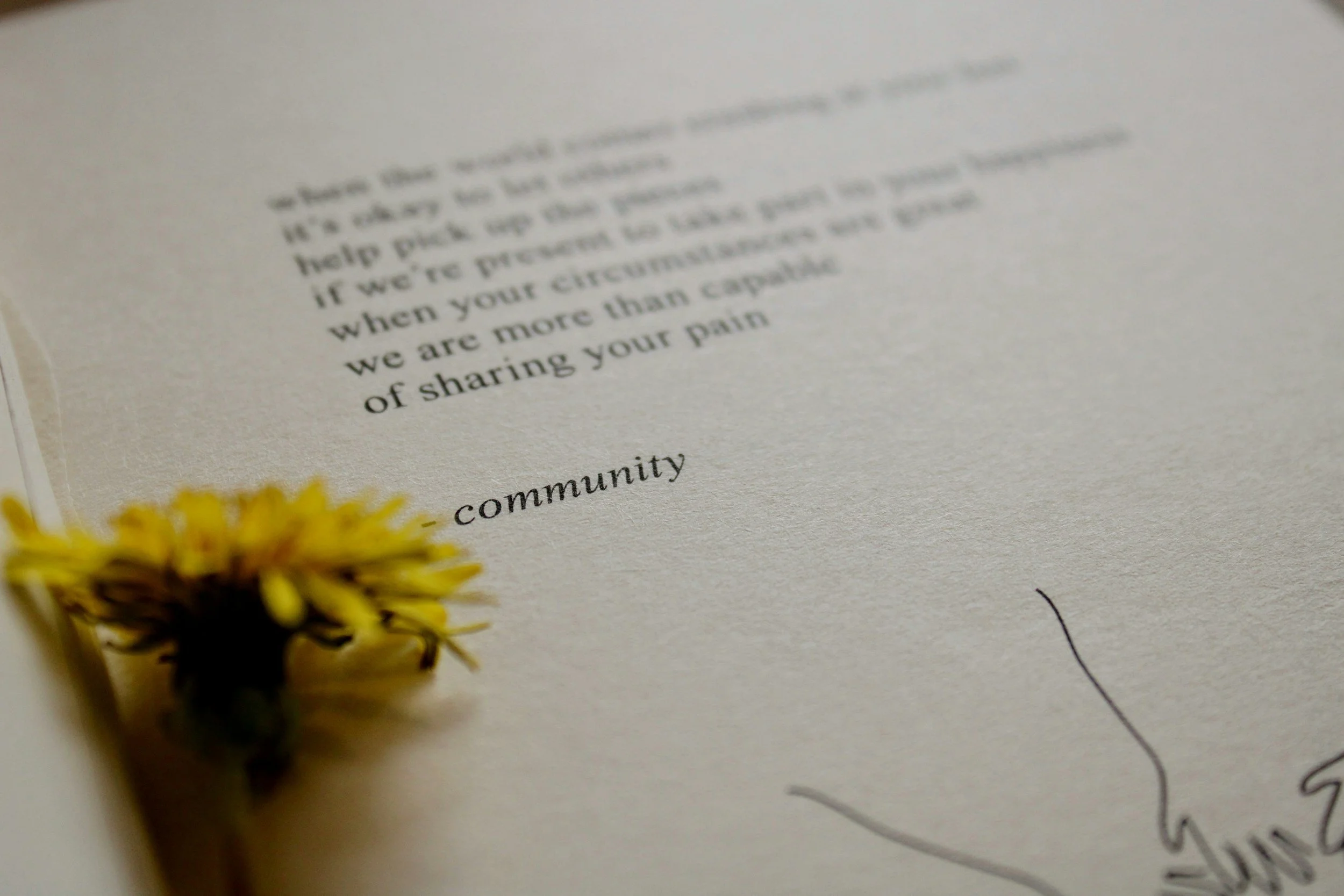 a book of poems