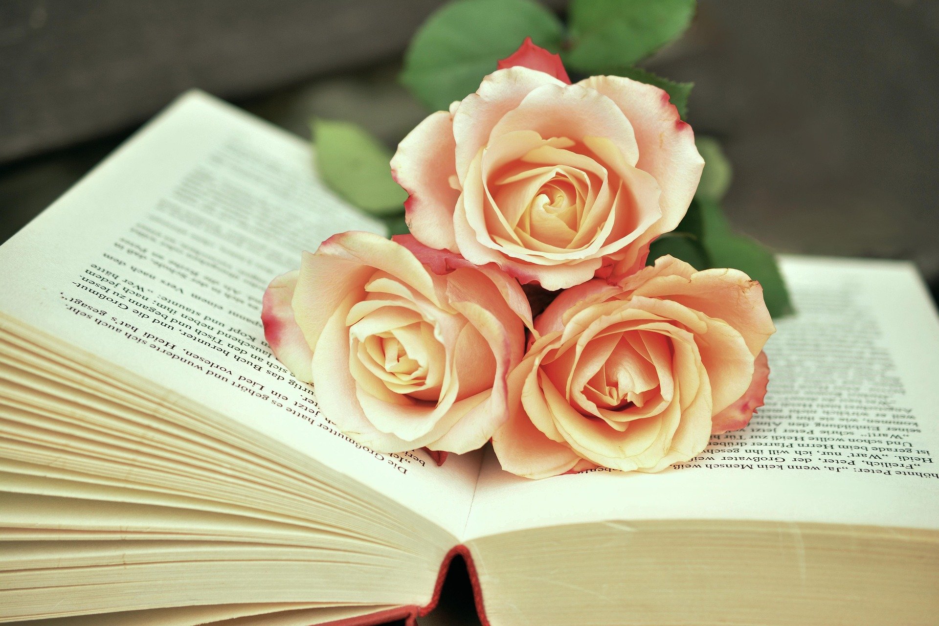 book with flowers for poems