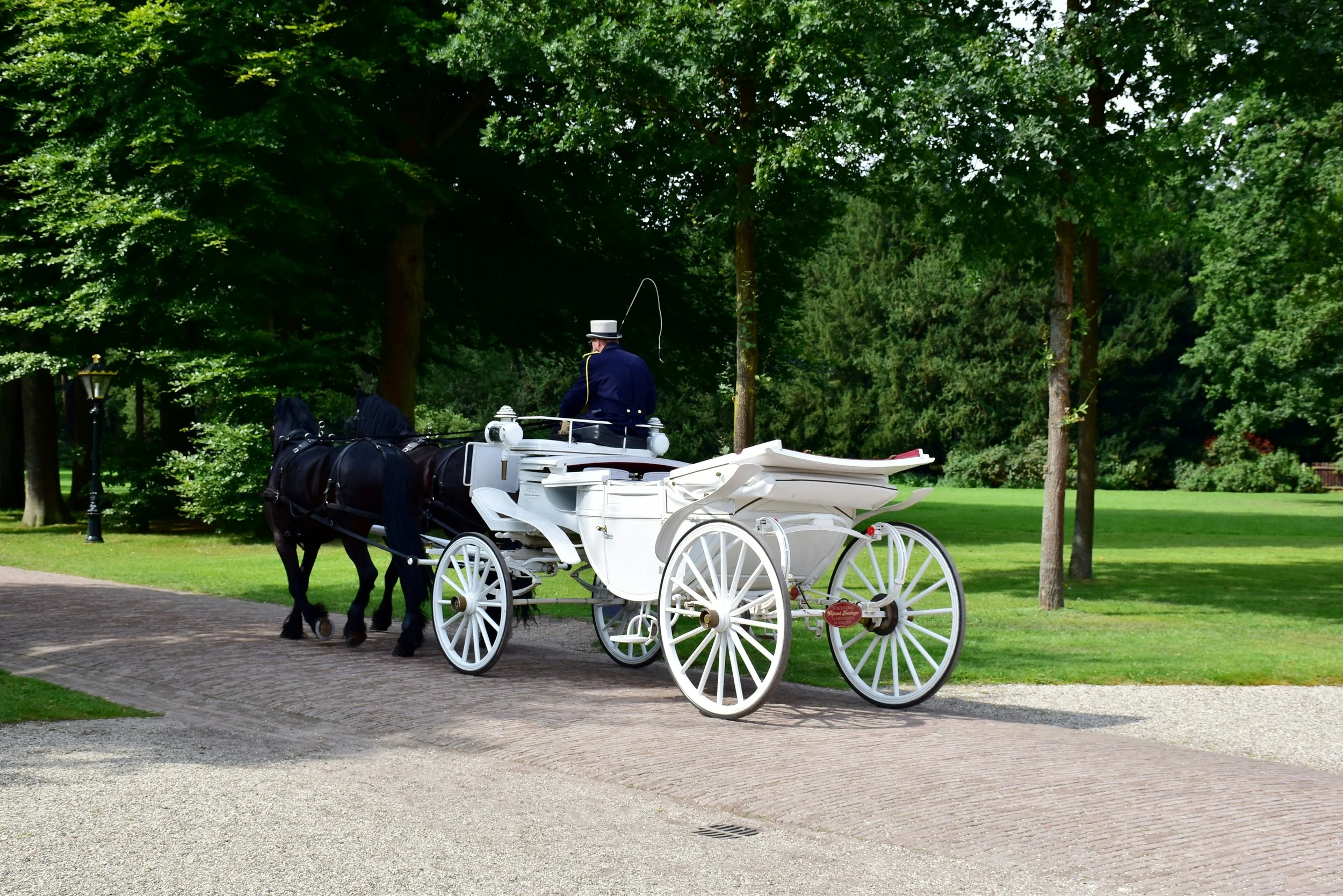 a horse and card with driver for a celebration of life