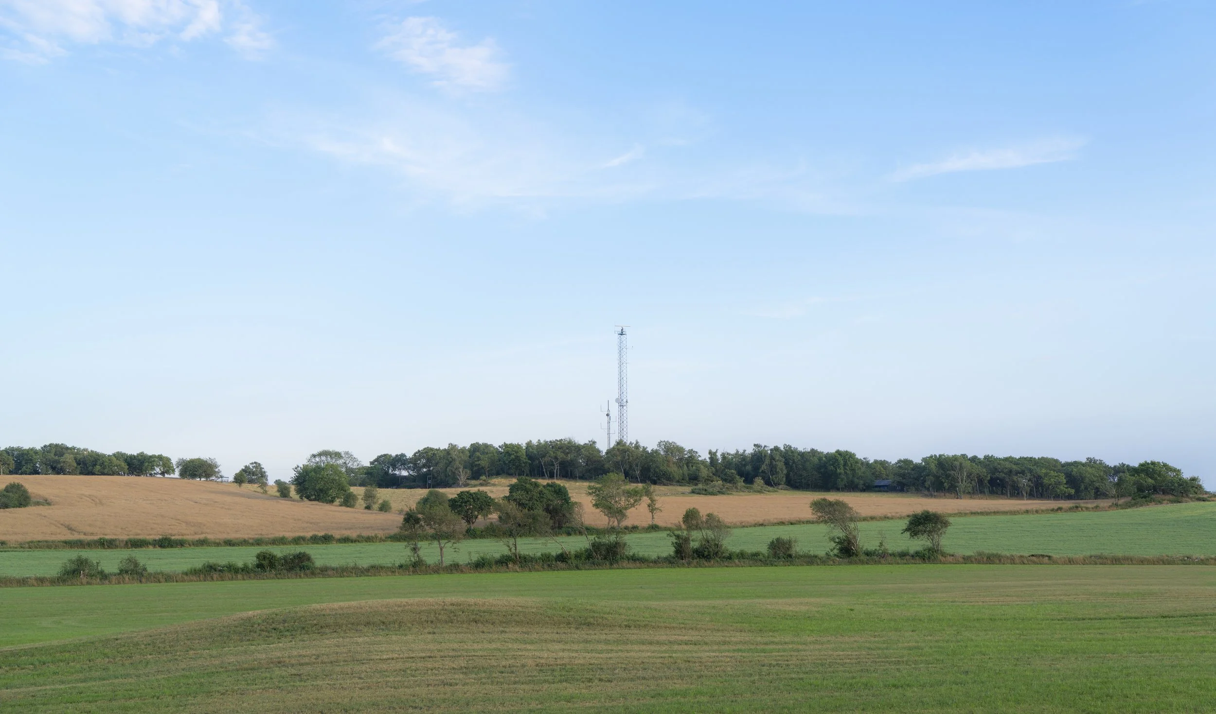 DSC06209.jpg