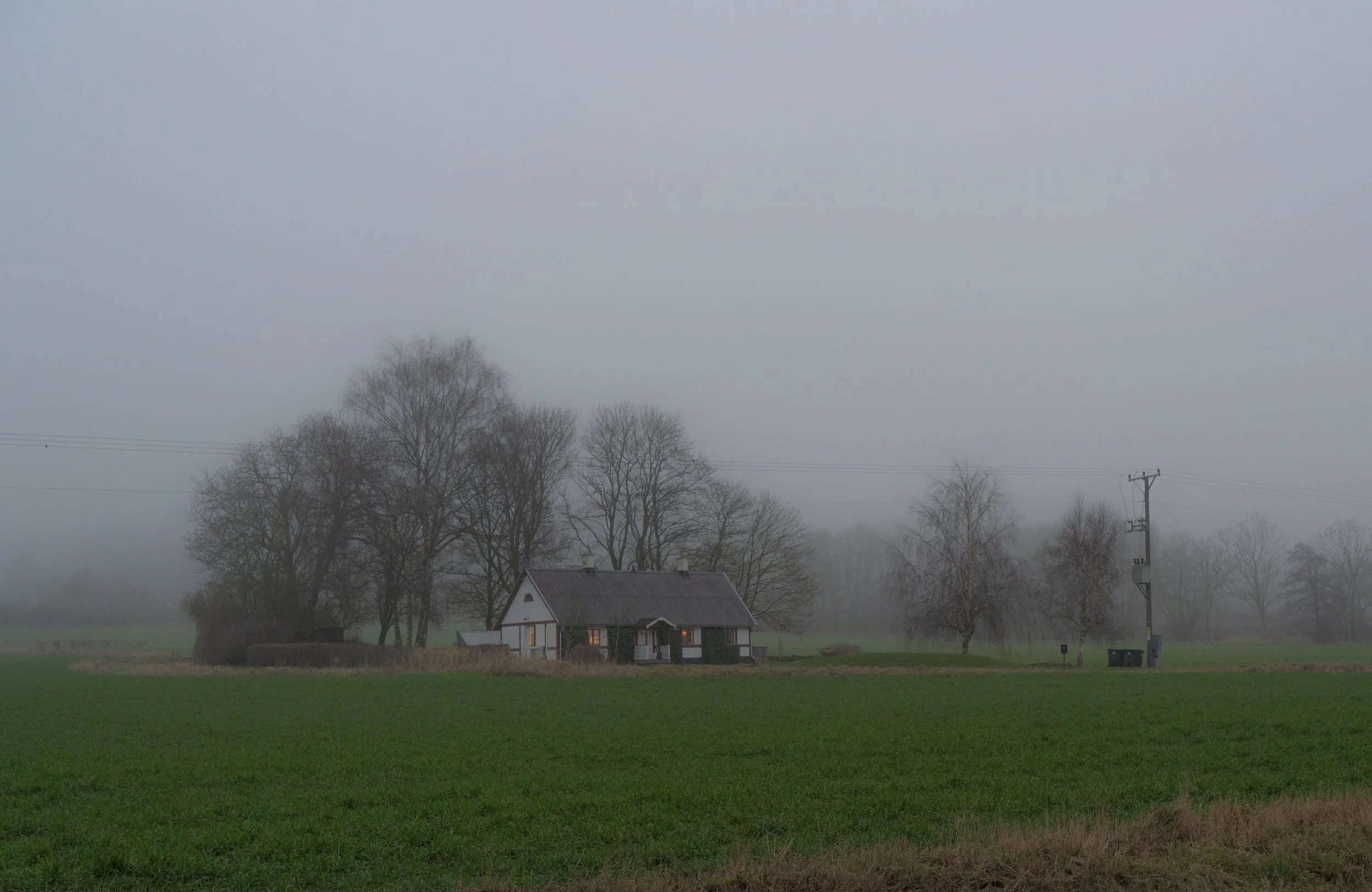 DSC02534.jpg