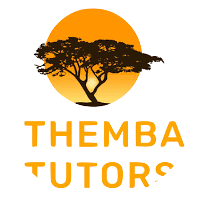 Mastering the Maze – Executive Functioning, Anxiety, and Student Success in NYC