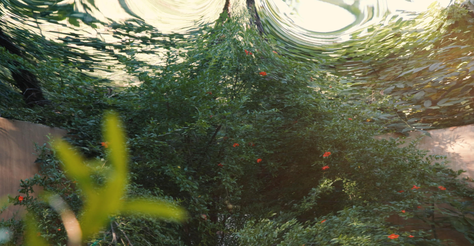 Screenshot 2026-02-18 at 11.55.16 AM.png