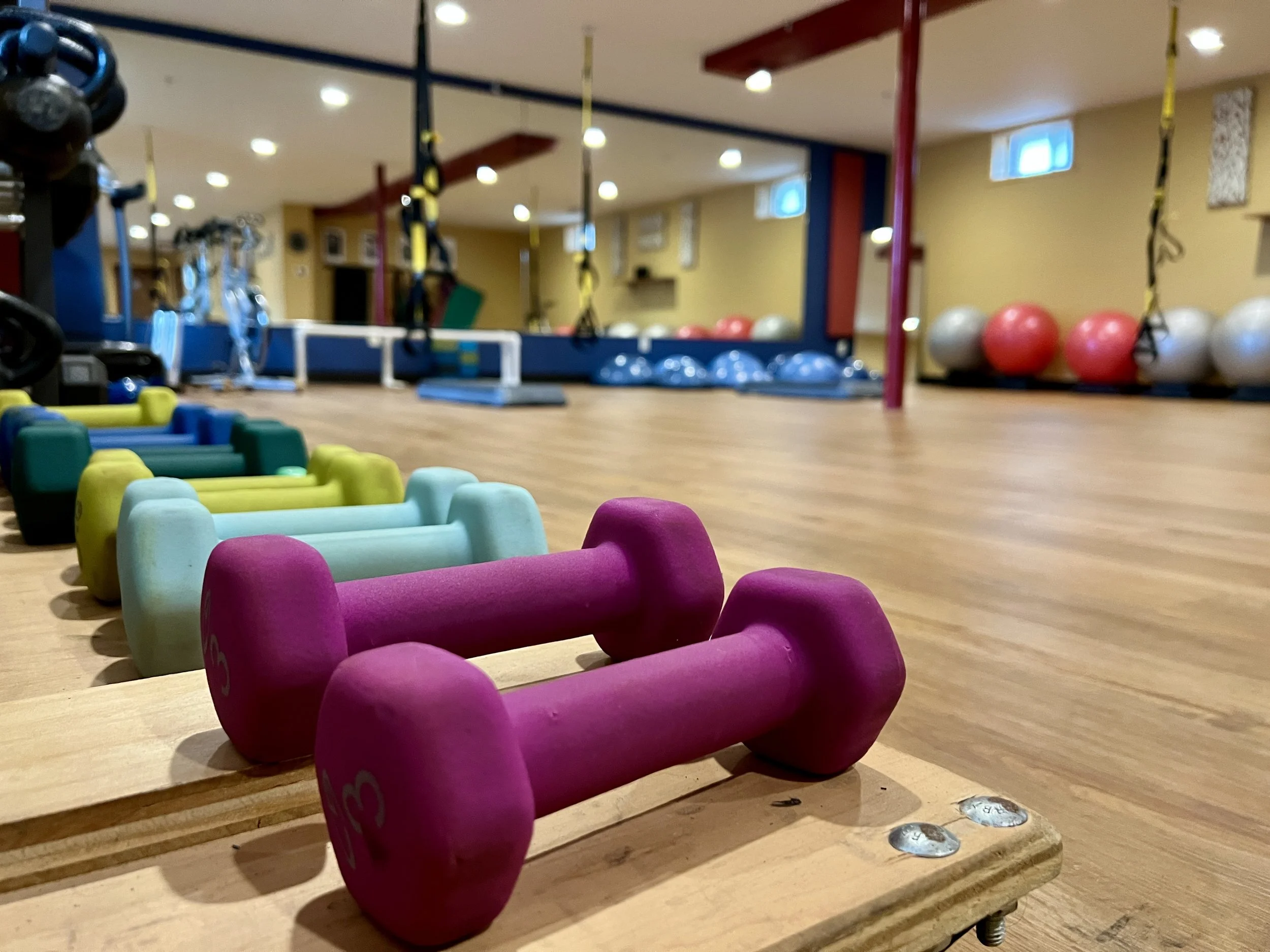 Colorful foam dumbbells at Verona Fitness Studio , with exercise equipment and mirrors in the background.