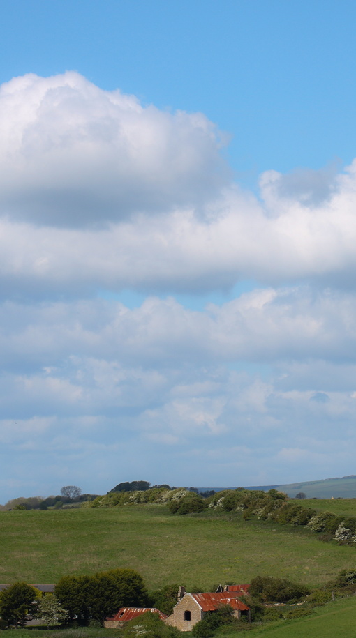 Screenshot 2026-02-01 172805.png