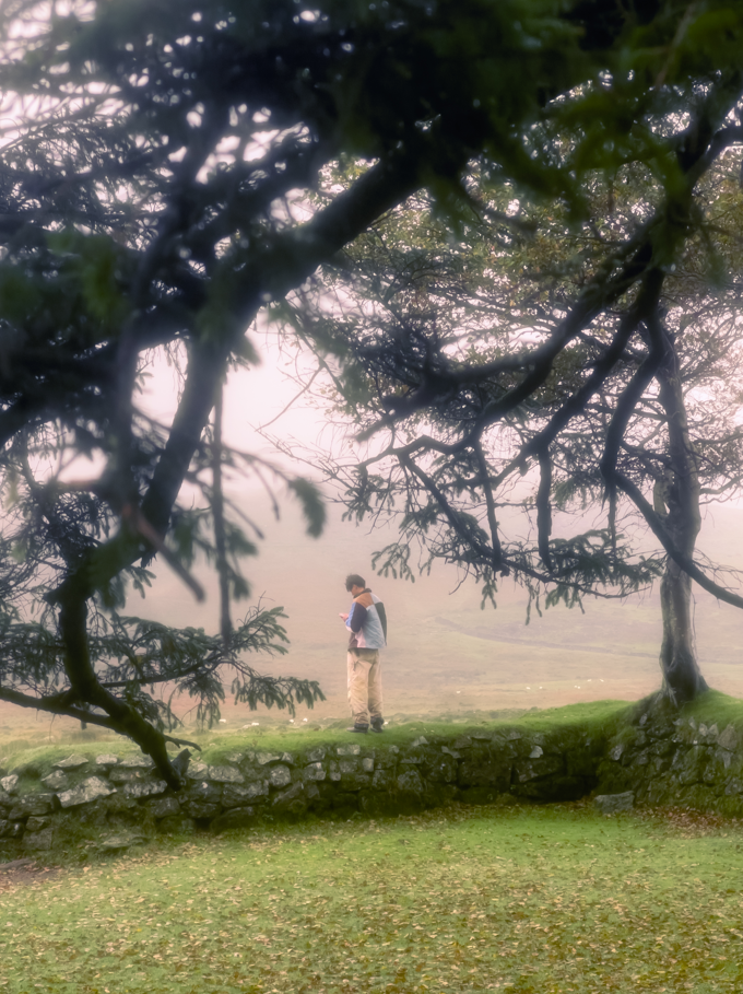 Screenshot 2026-02-01 172721.png