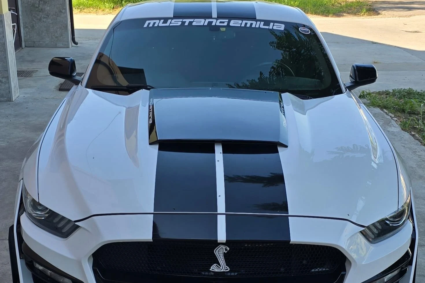 Fascione Parabrezza Mustang Emilia