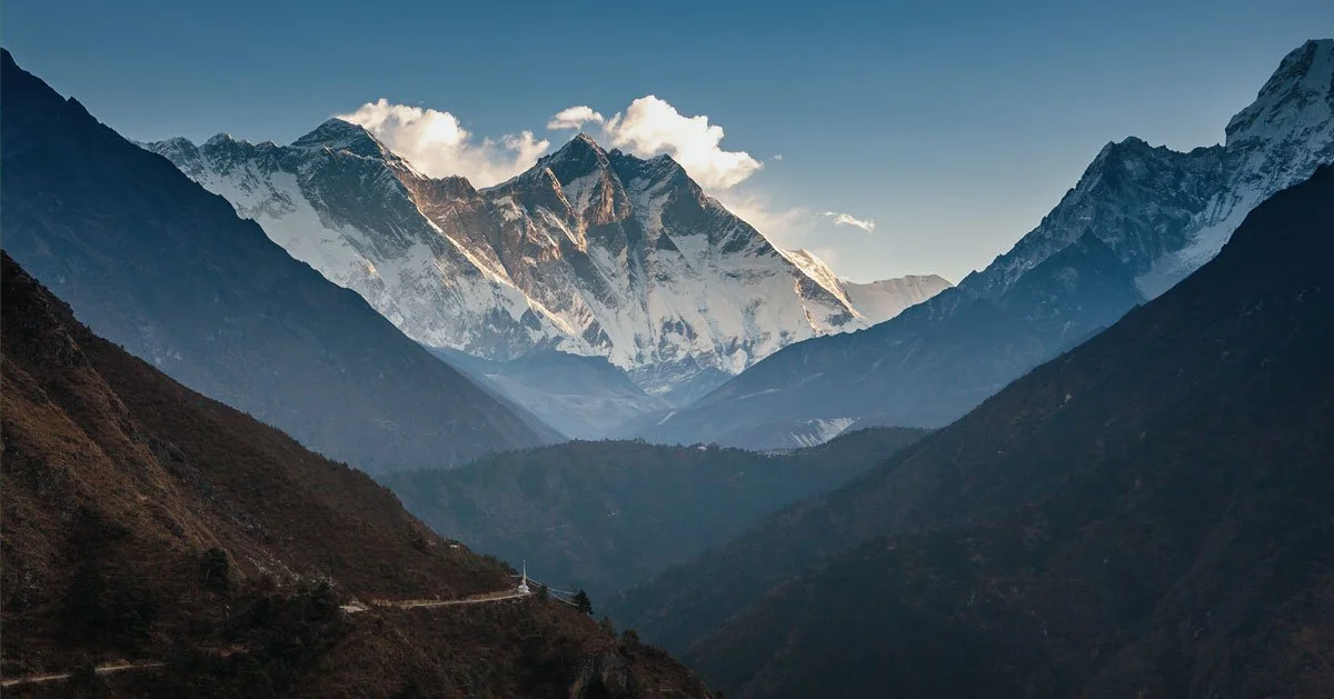 Paid Growth Management