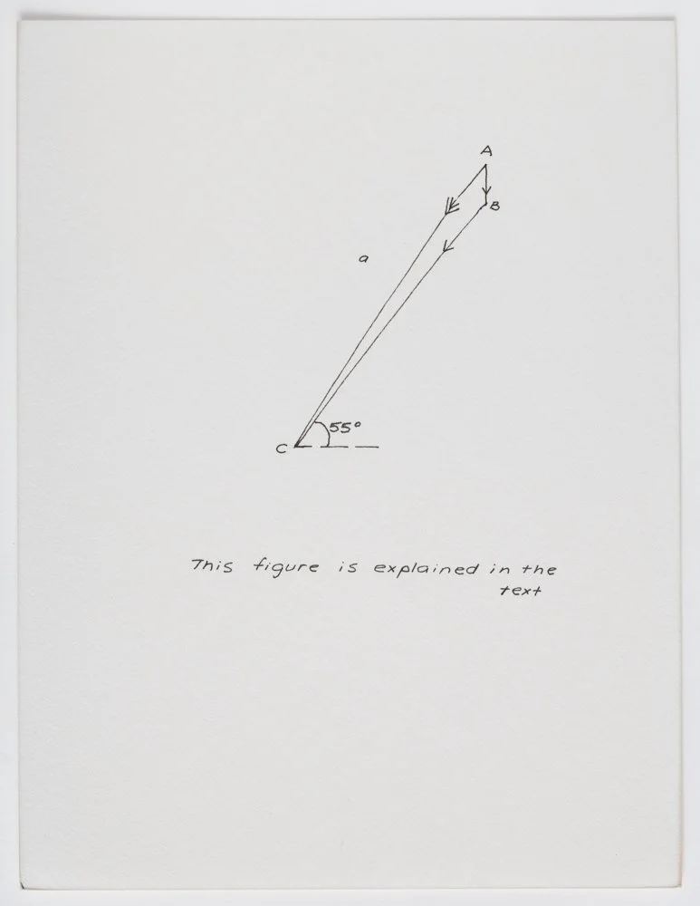 Ink on paper
6 x 4.5 in. / 15.2 x 11.4 cm, each sheet
Photo: Art Evans