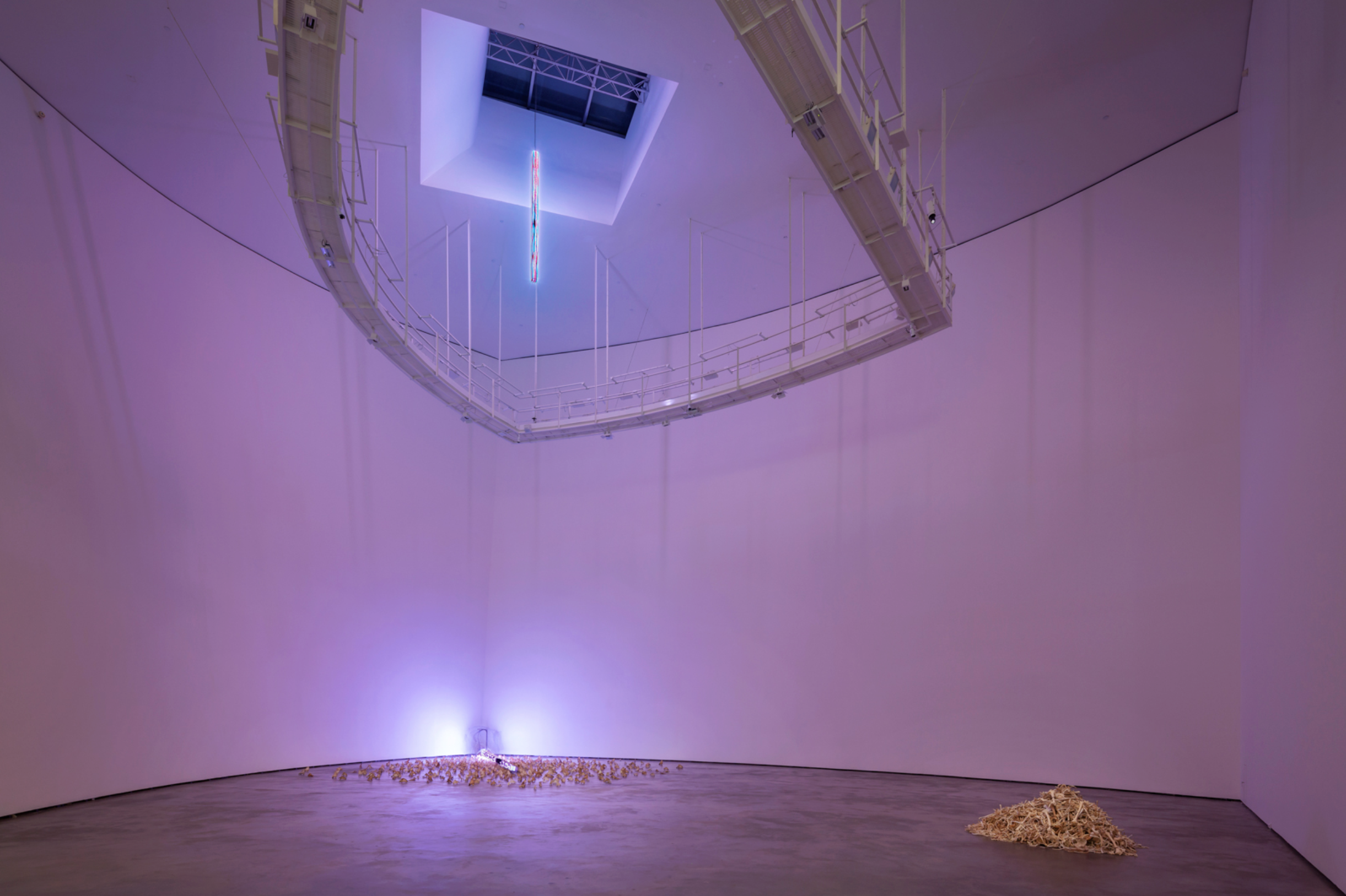 Exhibition view: Jenny Holzer: Thing Indescribable, Museo Guggenheim Bilbao, Spain, 2019

© 2019 Jenny Holzer, member Artists Rights Society (ARS), NY
Photo: José Miguel Llano
