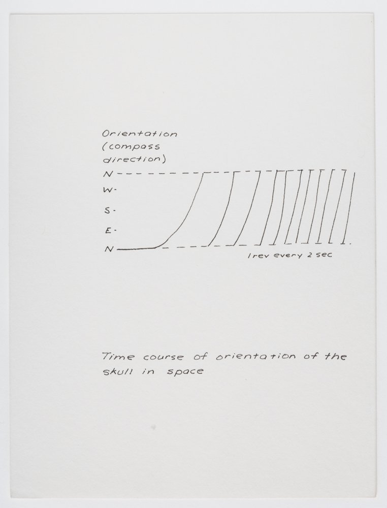 Ink on paper
6 x 4.5 in. / 15.2 x 11.4 cm, each sheet
Photo: Art Evans