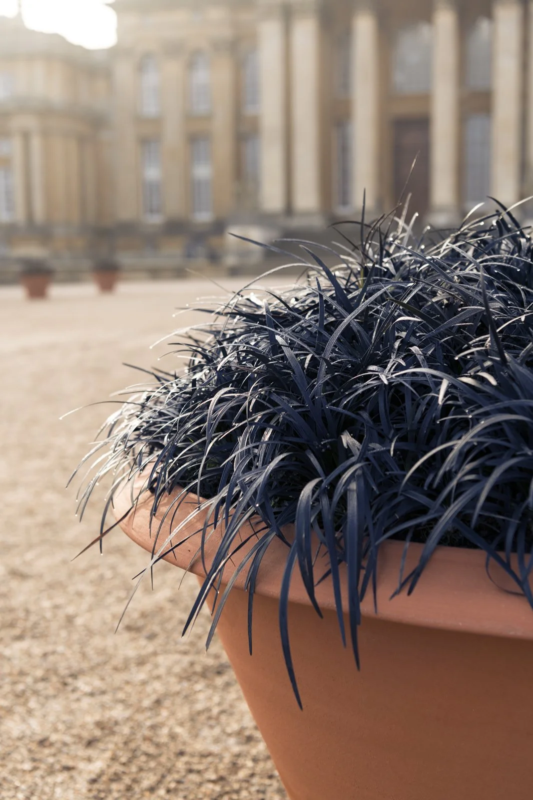 Black Pots, 2017 (detail)
Installation: SOFTER: Jenny Holzer at Blenheim Palace, Blenheim Palace, Woodstock, England, 2017
September 29–December 31, 2017
Photo: Tom Lindboe