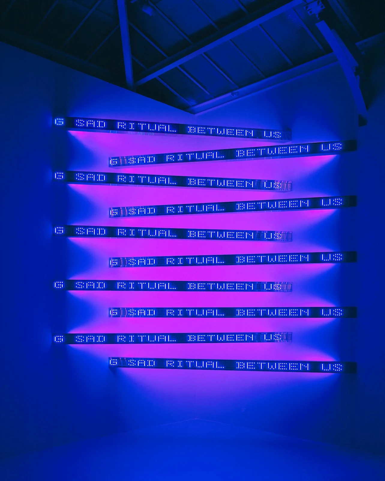 Site: Galerie Yvon Lambert, Paris
September 11–October 23, 2004
Text: “Blur” from Middle Earth by Henri Cole, © 2003 by the author. Used with permission of Farrar, Straus and Giroux, LLC.
Photo: Attilio Maranzano