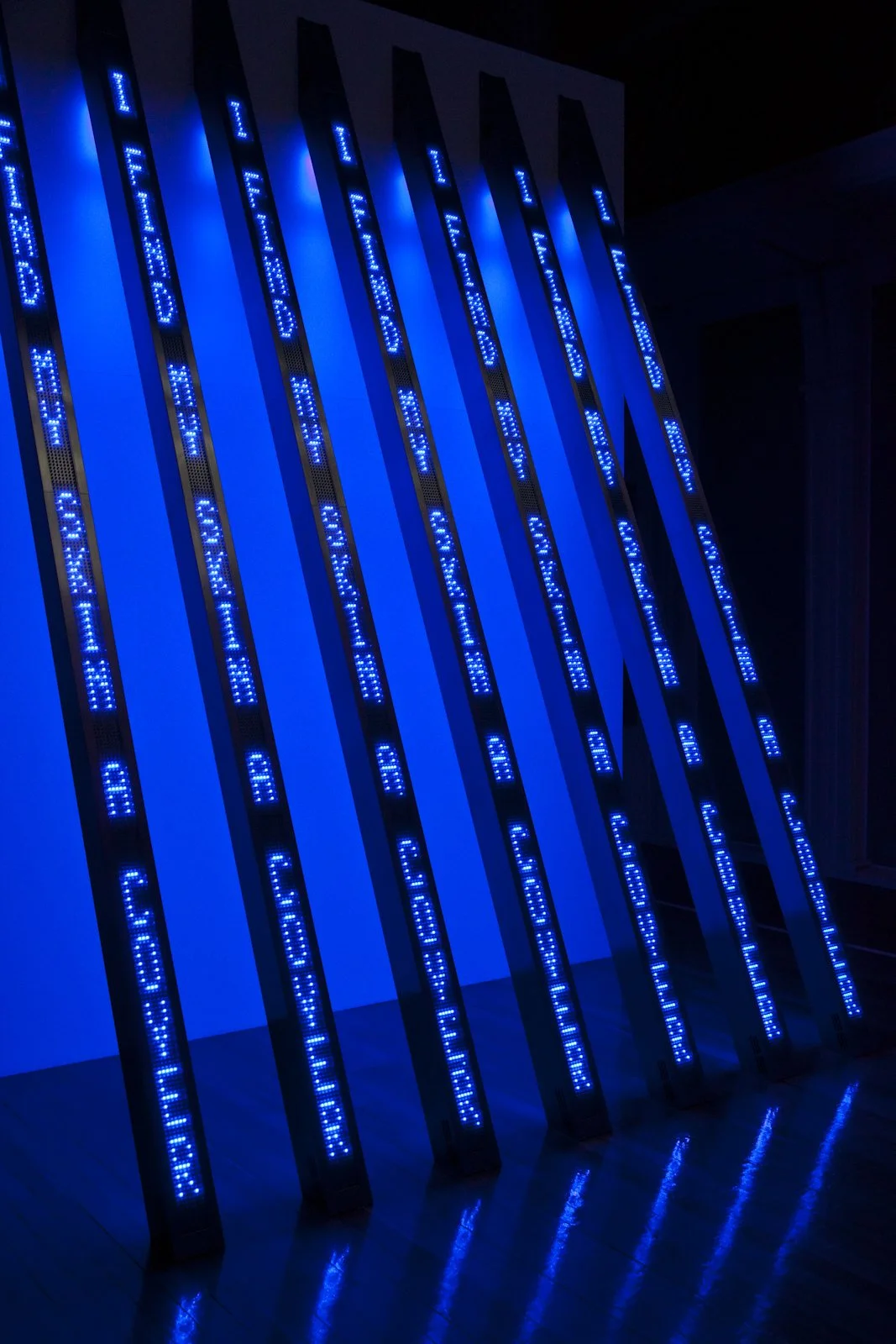 Site: Talbot Rice Gallery, Edinburgh, Scotland
March 27–May 15, 2010
Text: Blue, 1998
Photo: Collin LaFleche