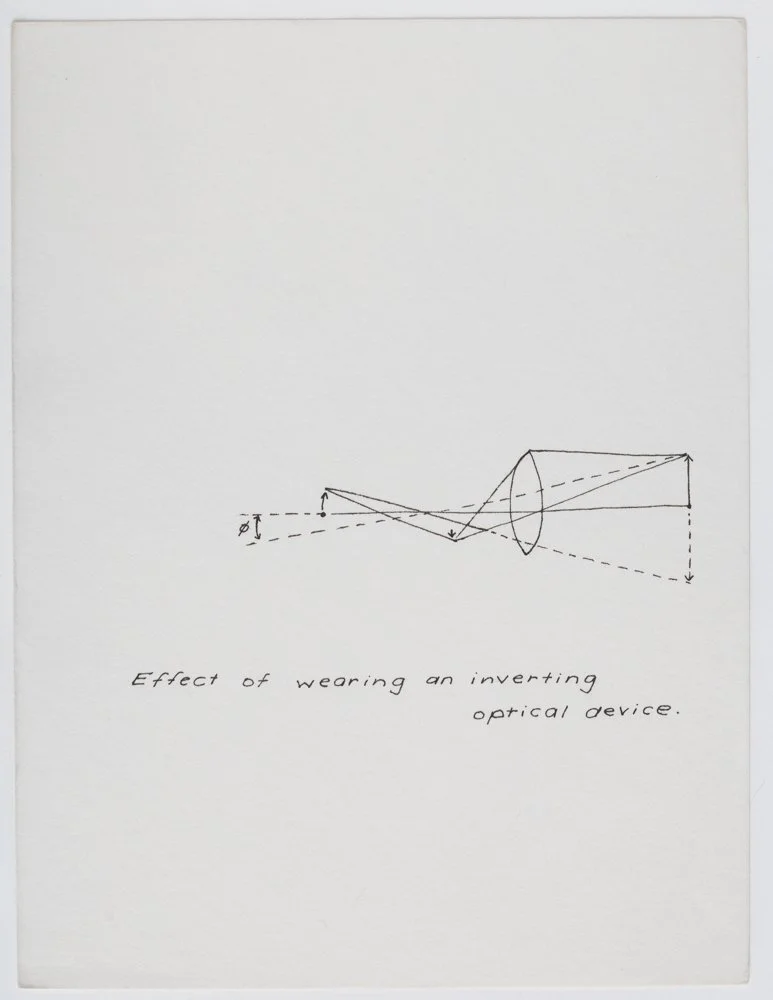 Ink on paper
6 x 4.5 in. / 15.2 x 11.4 cm, each sheet
Photo: Art Evans