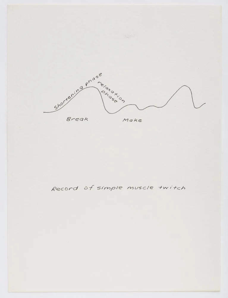 Ink on paper
6 x 4.5 in. / 15.2 x 11.4 cm, each sheet
Photo: Art Evans