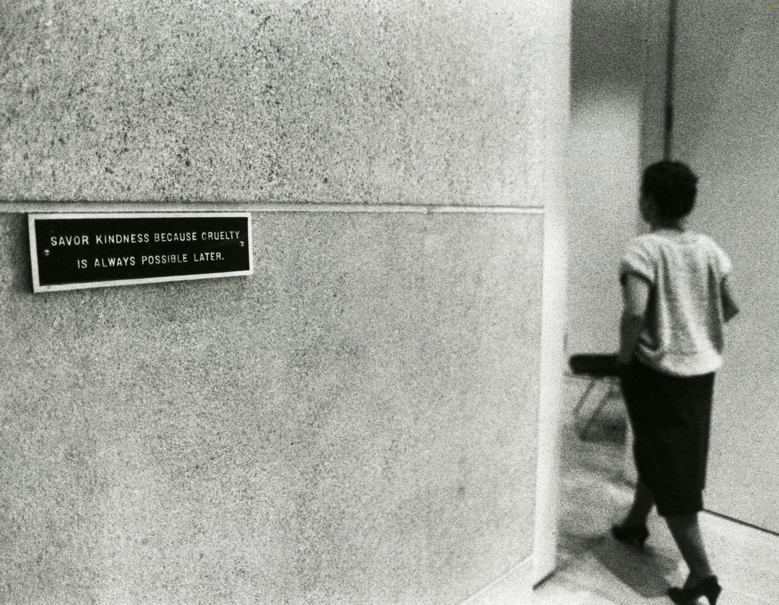 Site: Dallas Museum of Art, Dallas, Texas, USA
October 28, 1984–January 1, 1985
Text: Survival, 1983–85
Photo: Juan Garcia