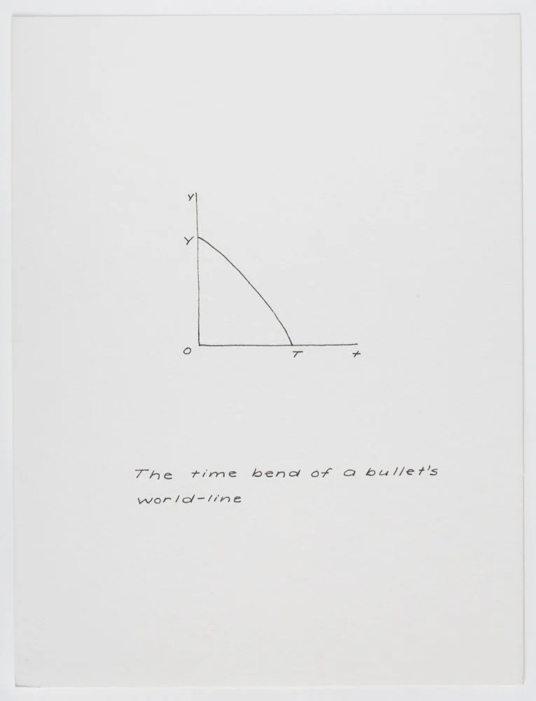 Ink on paper
6 x 4.5 in. / 15.2 x 11.4 cm, each sheet
Photo: Art Evans