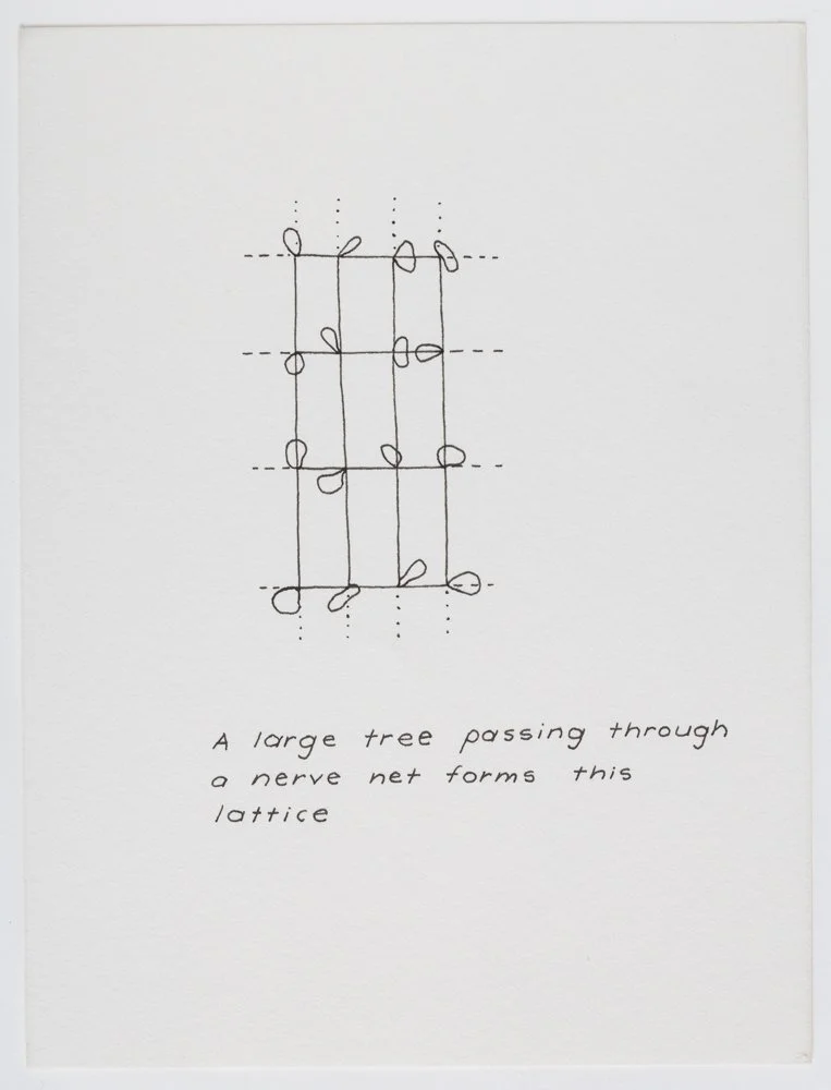 Ink on paper
6 x 4.5 in. / 15.2 x 11.4 cm, each sheet
Photo: Art Evans