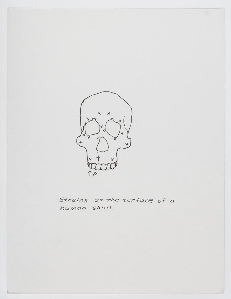 Ink on paper
6 x 4.5 in. / 15.2 x 11.4 cm, each sheet
Photo: Art Evans