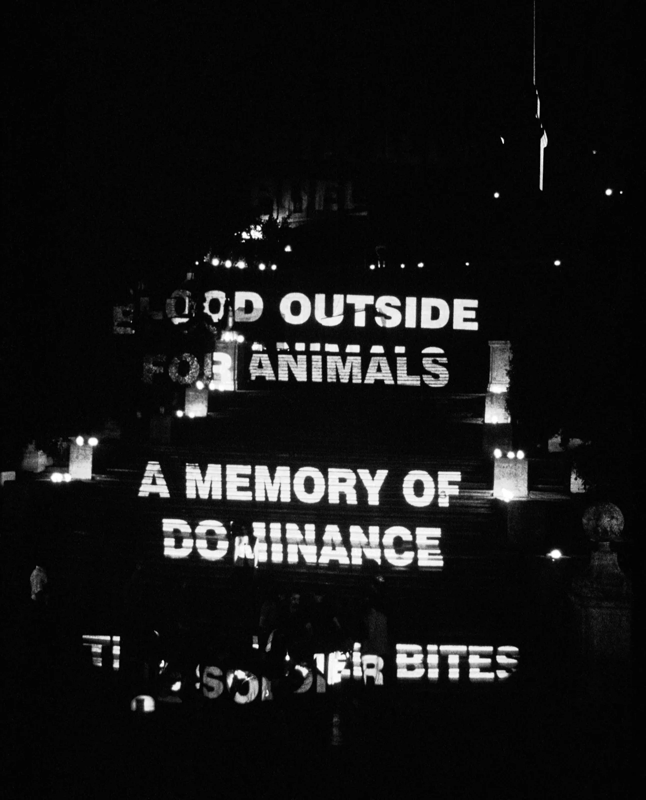 Site: Spanish Steps, Rome, Italy
July 16, 1998
Text: Erlauf, 1995
Projection: Skypictures; Aubert Lee
Photo: Fabio Magrelli