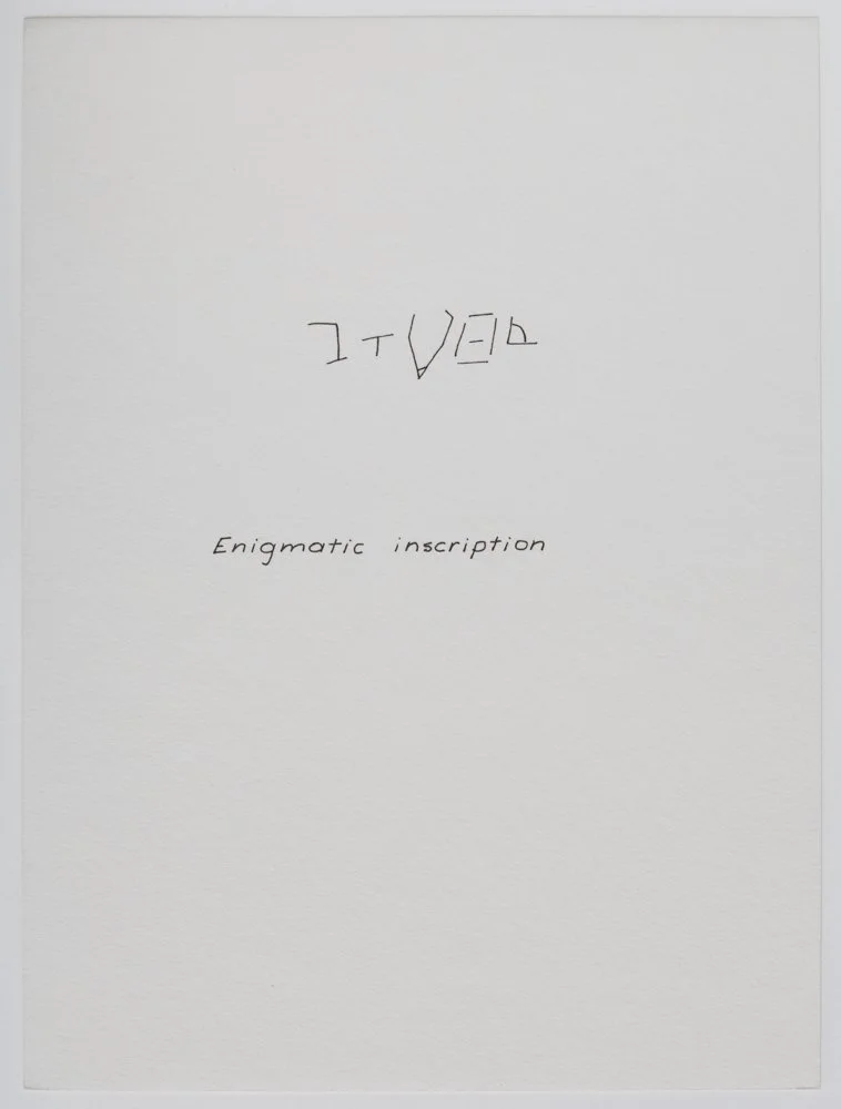 Ink on paper
6 x 4.5 in. / 15.2 x 11.4 cm, each sheet
Photo: Art Evans